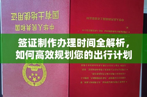 铁山港签证制作办理时间全解析，如何高效规划您的出行计划